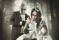 Lindemann, hybryda świni z człowiekiem