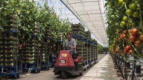 Dlaczego Polacy emigrują? Jest jeden główny powód. Dotyczy wybranych krajów