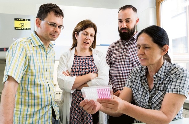 Dr Dominik Czaplicki, dr Monika Bzowska, mgr Tomasz Klaus i dr hab. Joanna Bereta z Uniwersytetu Jagiellońskiego fot. Paweł Ulatowski