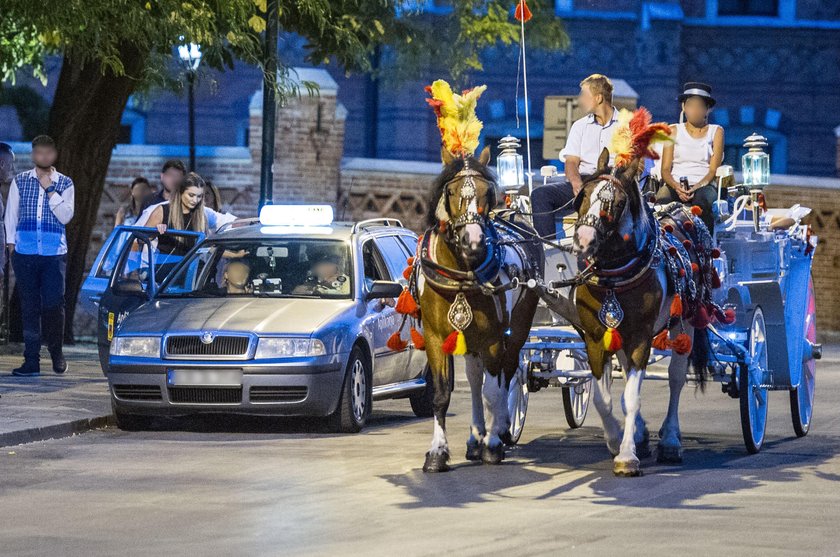 Spotkanie rodzinne przed ślubem Joanny Krupy i Douglasa Nunesa