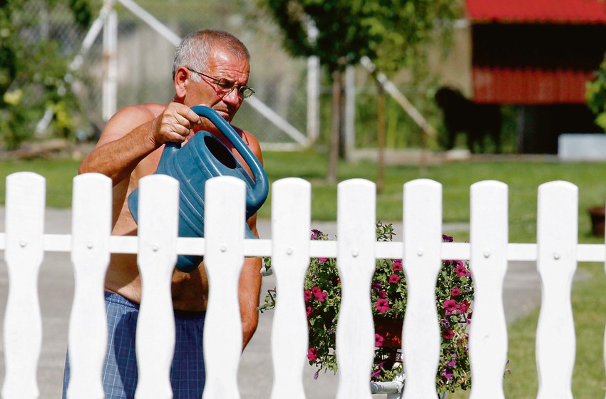 Radoslav Zlatić je juče brinuo o cveću