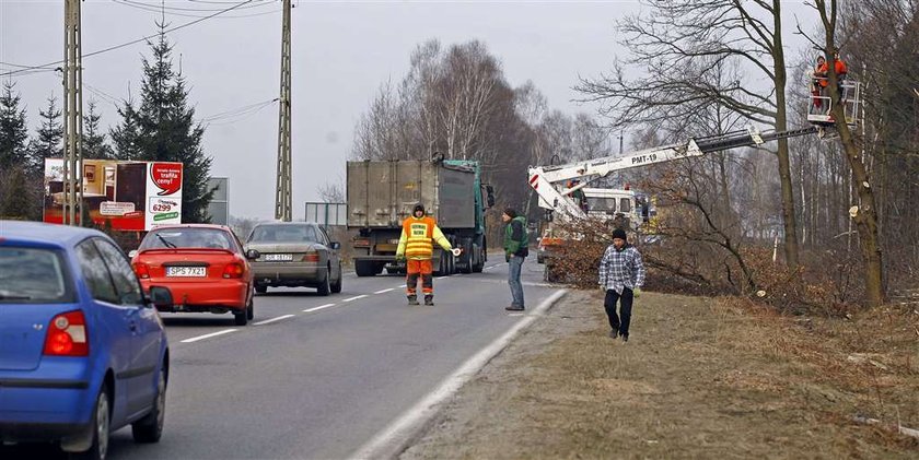 Zobacz, gdzie rozkopią Rybnik