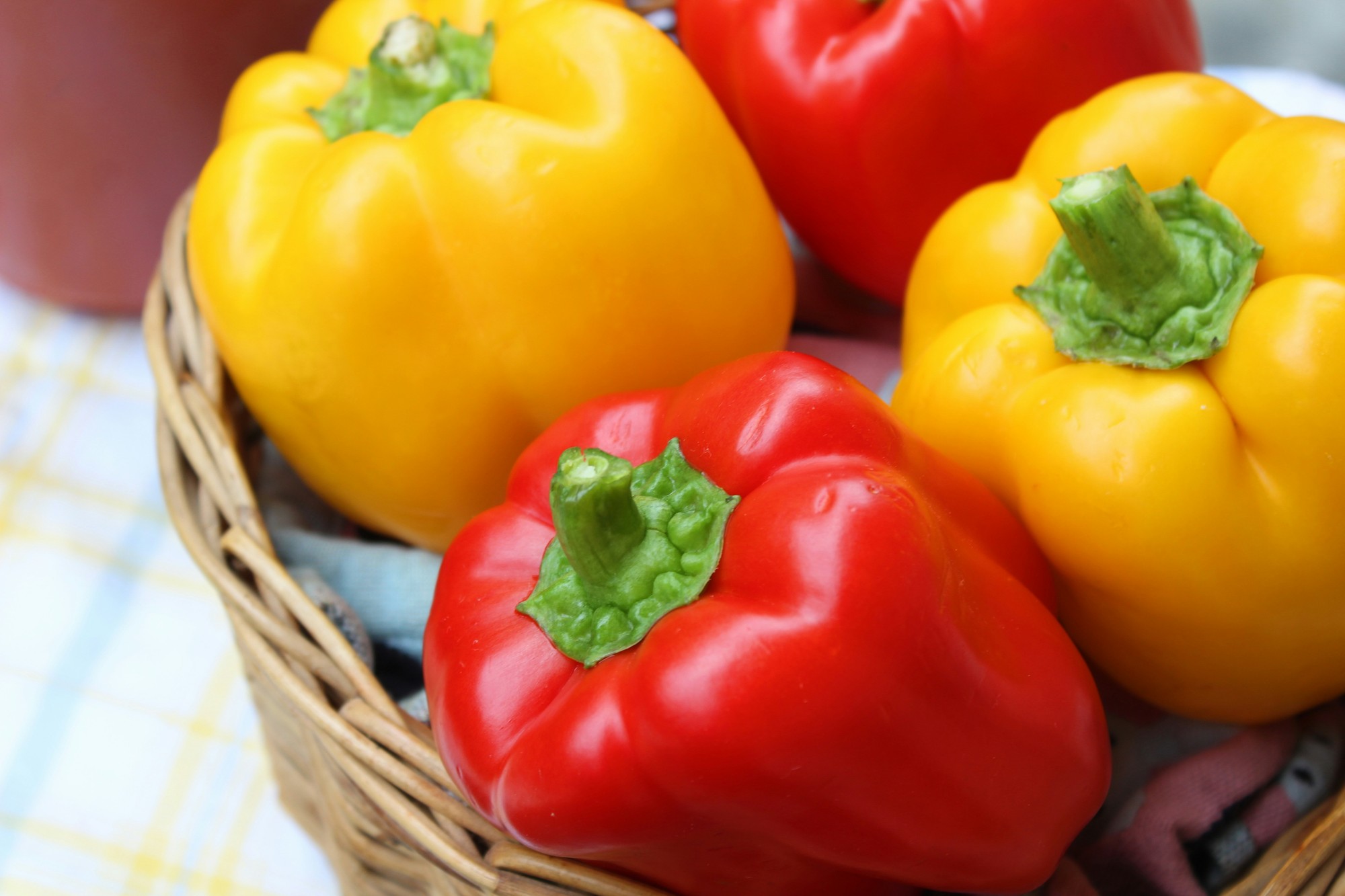Paprika, ktorá vám dodá maximum kolagénu.