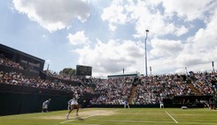 Wimbledon: Afera? Tenisistki skarżą się, że są dyskryminowane ze względu na płeć