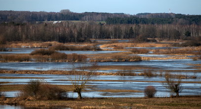 W tych regionach wciąż niebezpiecznie. Obowiązują ostrzeżenia IMGW