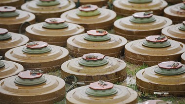 amnesty international alarmuje: decyzja rządu uderzy w polaków, nie w