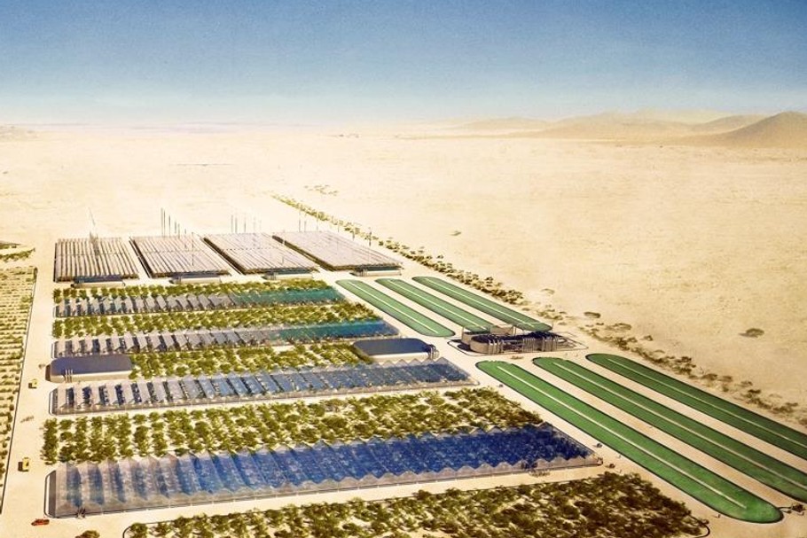 Sahara Forest Project