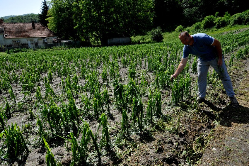 kosjeric nevreme vlade ercic_200616_Ras foto Milos Cvetkovic 006