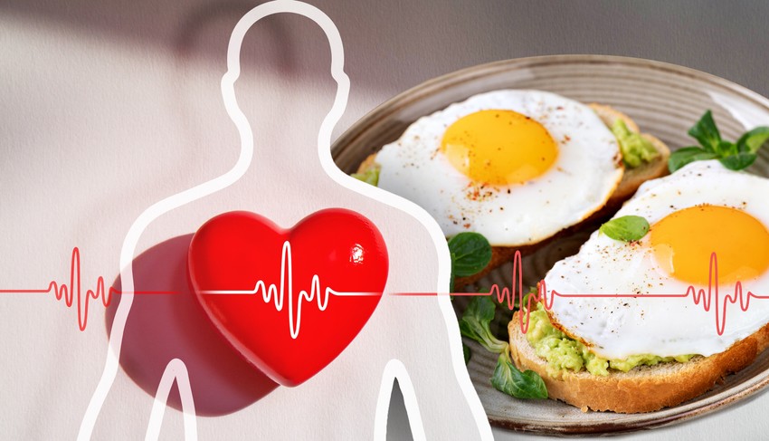 Kod osoba sa višim nivoom triglicerida, potrebno je i 10 do 12 sati nakon obroka da se nivo triglicerida vrati na početne vrednosti