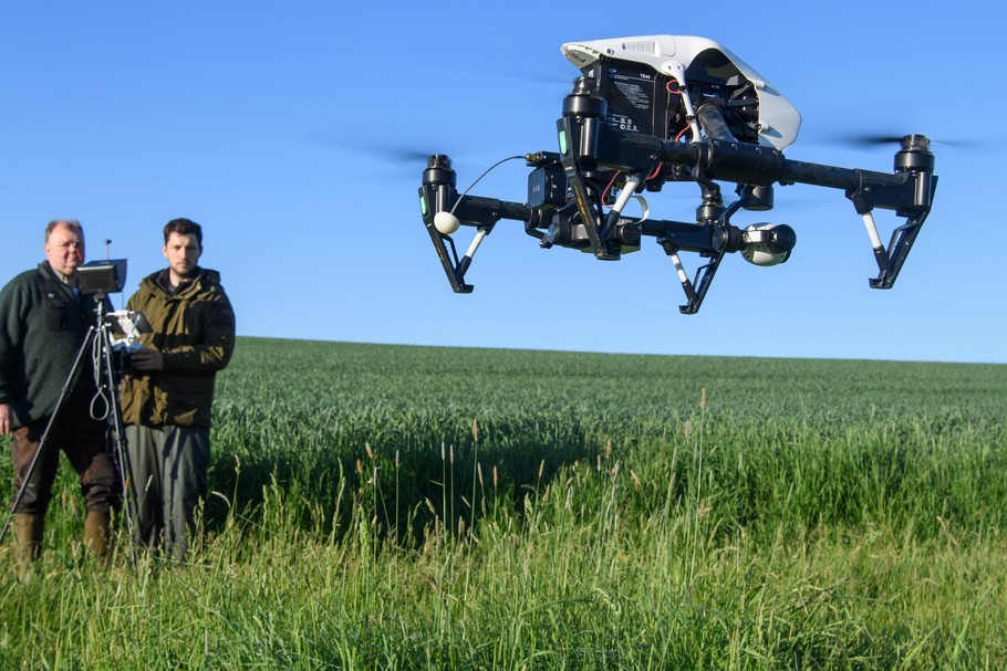 Fawn rescue with a drone