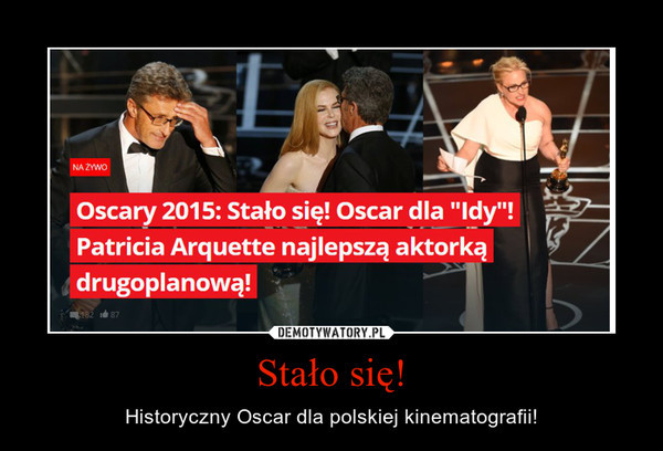 Polski film laureatem Oskara