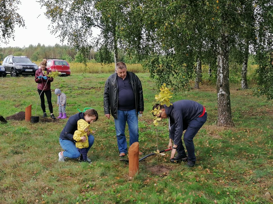 Pokoleniowe sadzenie drzewek w Łodzi