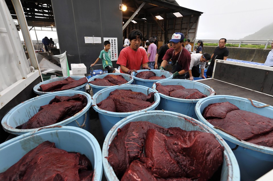 JAPAN FEATURE PACKAGE WHALING