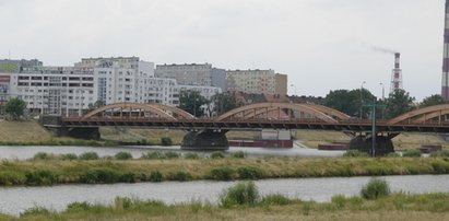 Spacerowicze we Wrocławiu zamarli. W wodzie pływał prawdziwy aligator! To nie żart, są zdjęcia!