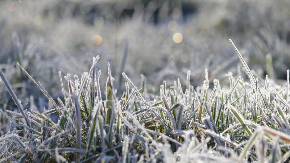 Prognoza pogody. Ostrzeżenie przed spadkiem temperatury i przymrozkami