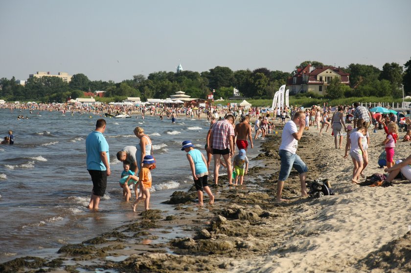 Na plaży w Sopocie pojawiły się wodorosty