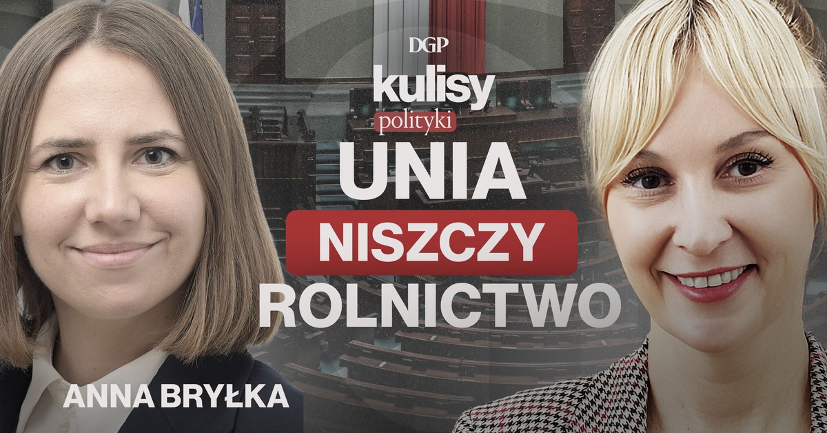 Bryłka: UE przeciw rolnikom. Merkosur to zdrada wsi [KULISY POLITYKI]