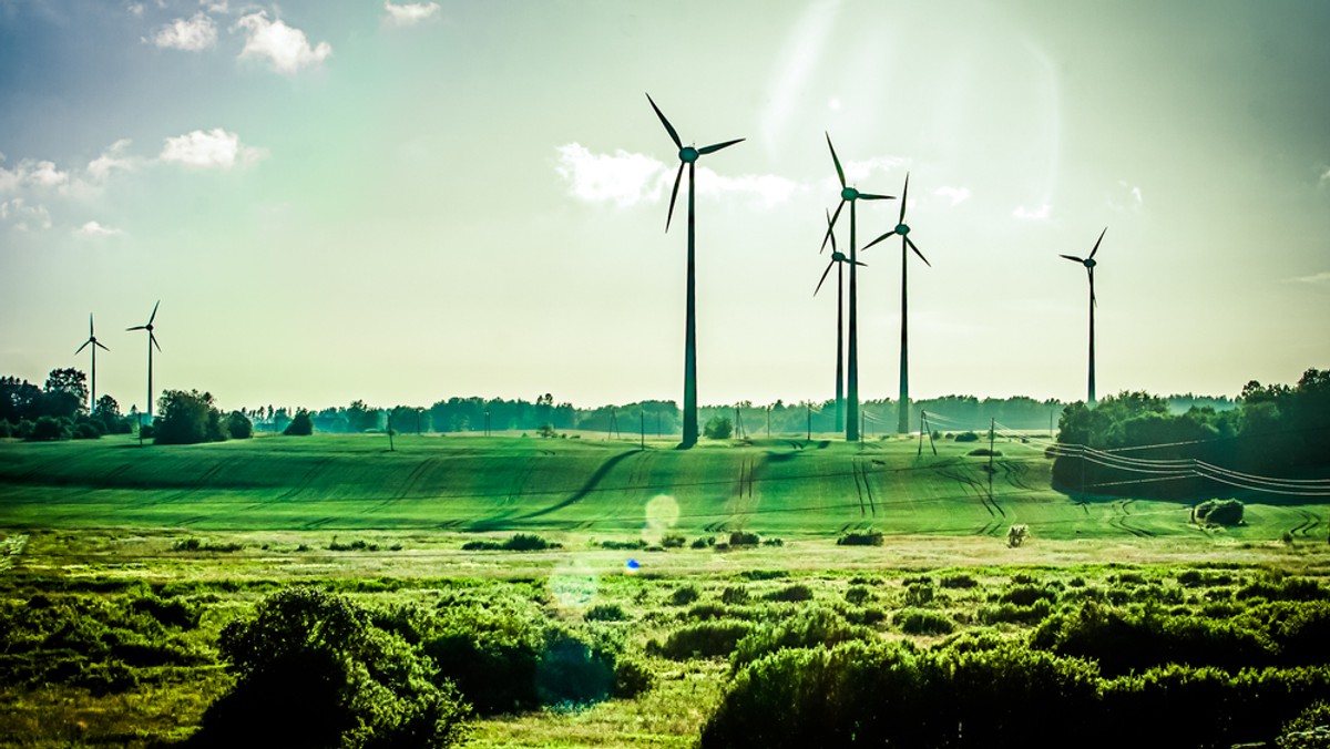 Elektrownie wiatrowe wysunęły się w Hiszpanii w ubiegłym roku na pierwsze miejsce wśród dostawców prądu, zaspokajając 20,9 proc. zapotrzebowania sieci energetycznej - poinformował w środę w Madrycie hiszpański związek energetyki wiatrowej AEE.