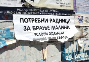 Užice malina berači oglas 