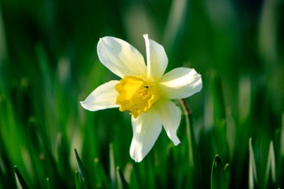 Będą nowe centra zdrowia psychicznego