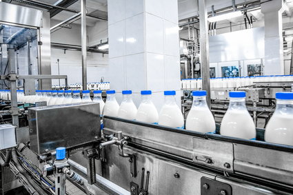 Gwałtownie rosną ceny mleka. Producenci nie nadążają za popytem