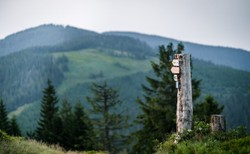 Dobre warunki na szlakach w Beskidach. Jest jedno utrudnienie