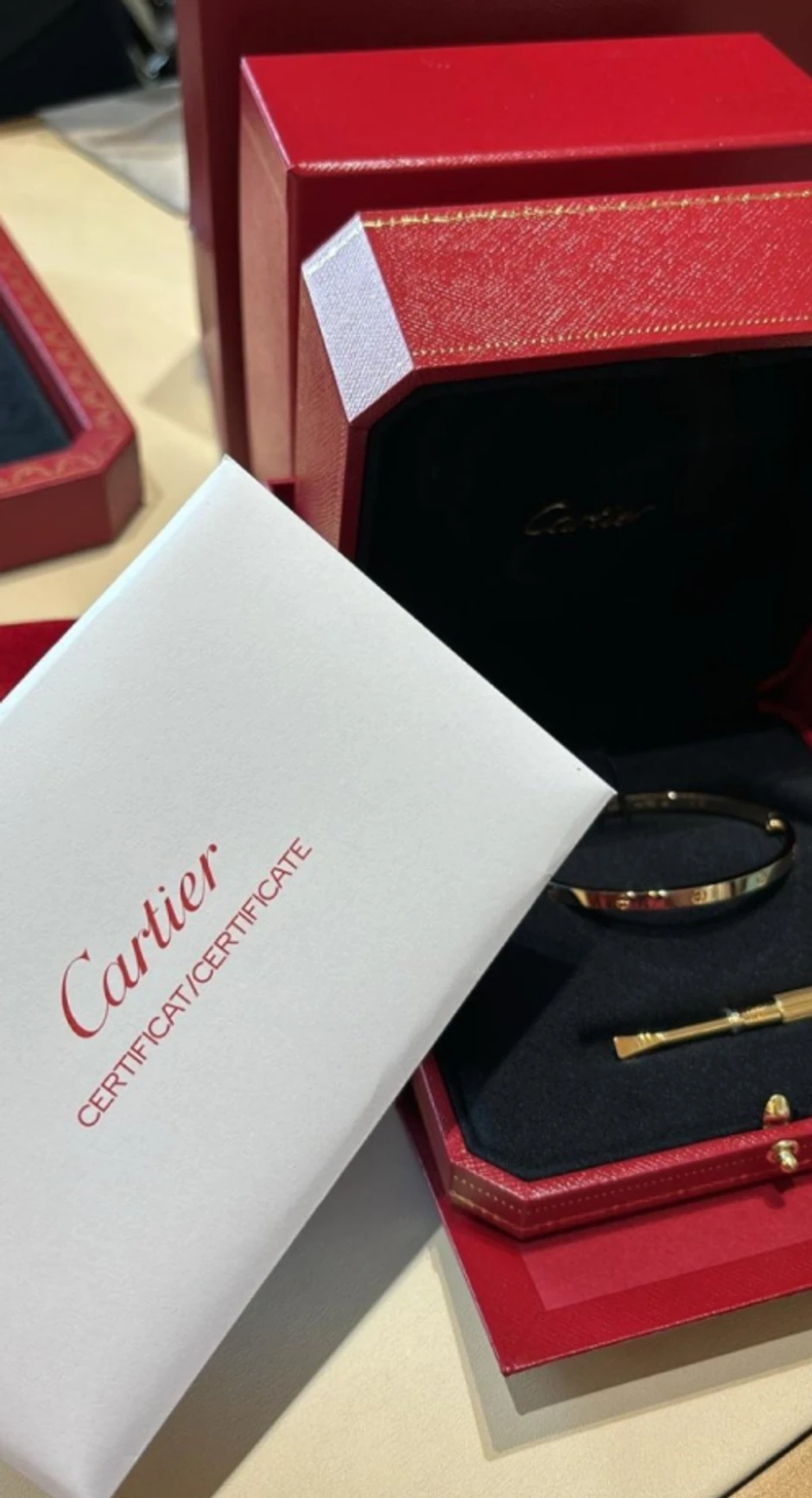 Tamara Đurić pokazala nakit