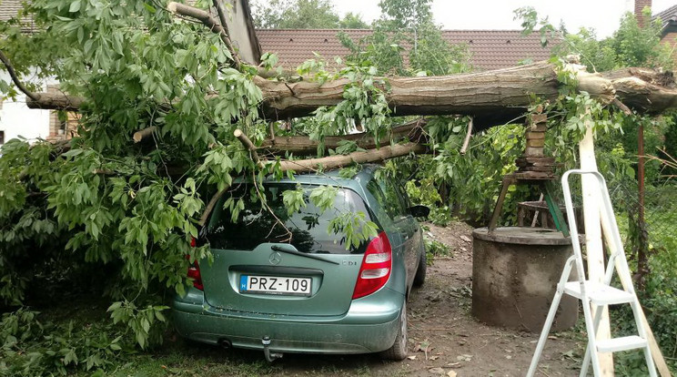 Kiskunlacháza /Fotó: PMKI Szigetszentmiklós HTP