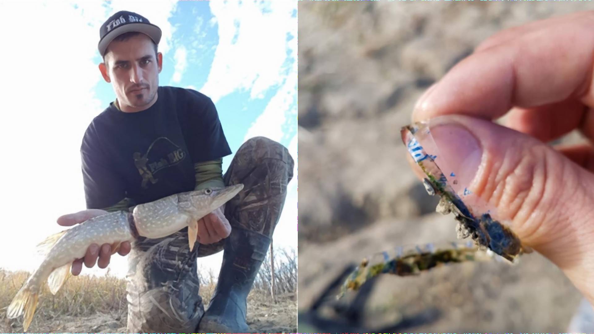 Adam pomohol rybe, ktorá celý život žila s kusom plastu na svojom tele