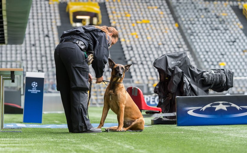 Borussia Dortmund – AS Monaco. Liga Mistrzów. Policja staje na głowie, żeby uniknąć powtórki koszmaru