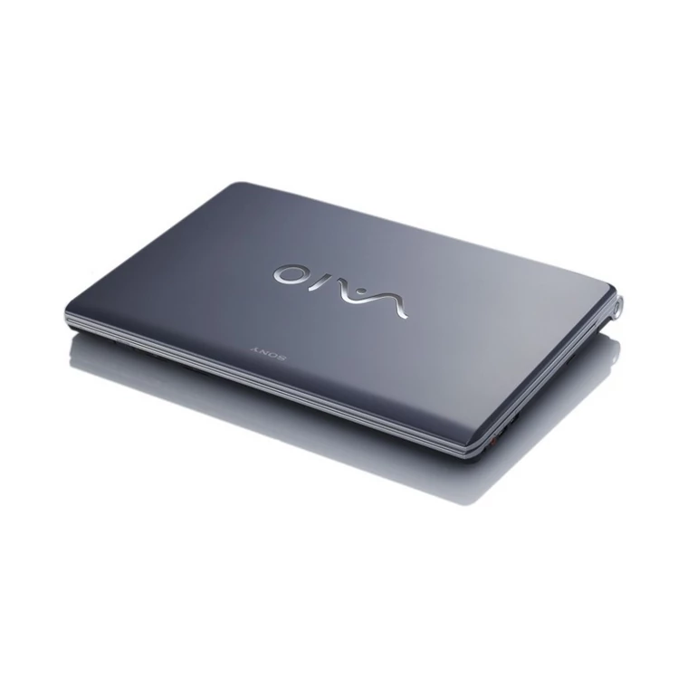 Sony VAIO F13