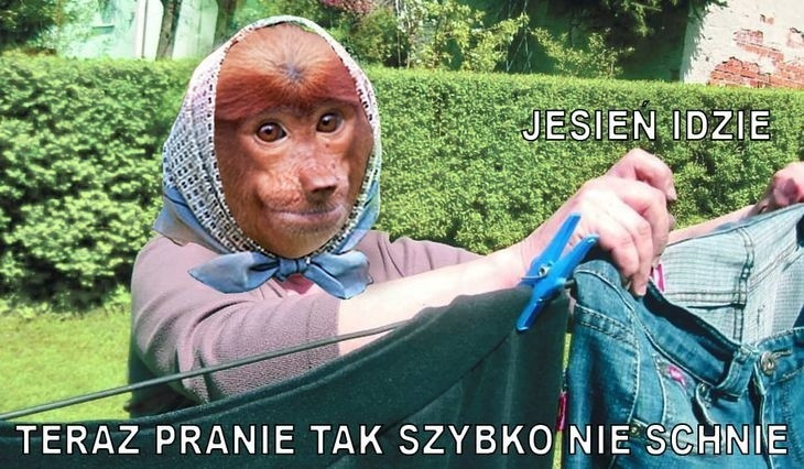 Najlepsze memy o jesieni. Internauci w formie