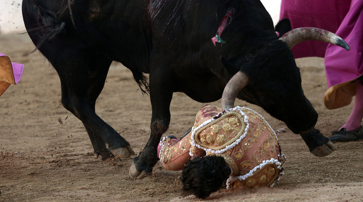 A matador 12 évig foglalkozott bikákkal /Fotó: AFP