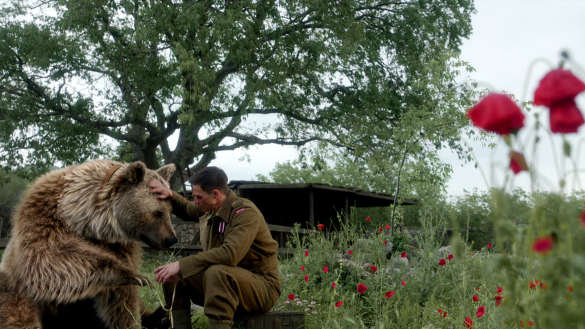 Co o najsłynniejszym niedźwiedziu II wojny światowej mówią gwiazdy polskiego filmu o Monte Cassino