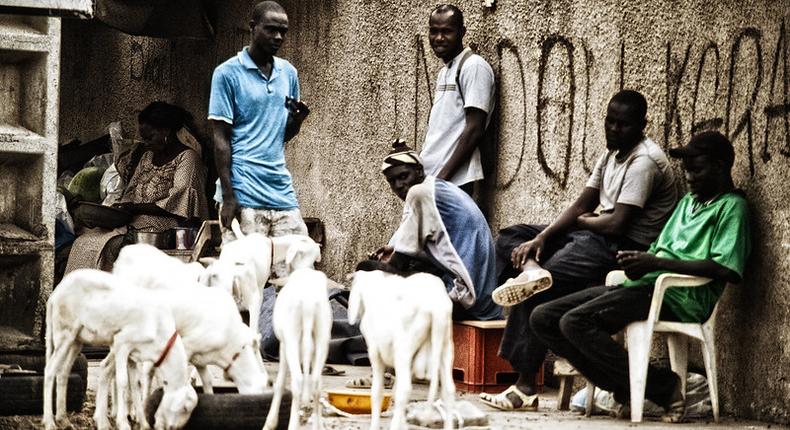 Chômage des jeunes au Sénégal