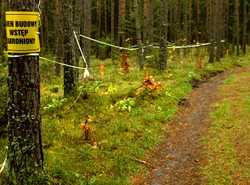 Kaczyński kontra obrońcy Rospudy