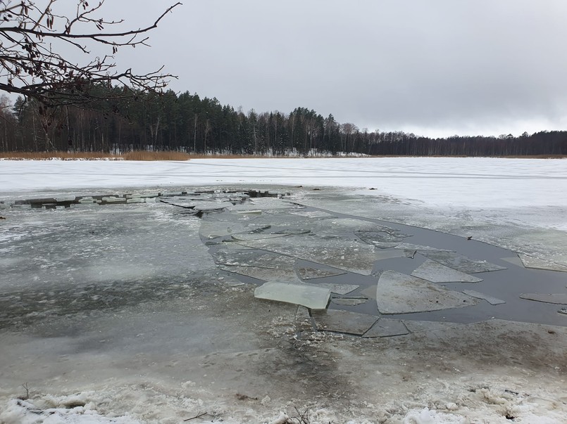 8 koni tonęło w jeziorze