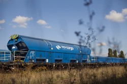 Nocne roszady w państwowej spółce. Prezes zawieszony "z ważnych powodów"