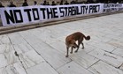 Protestujący pies z Grecji