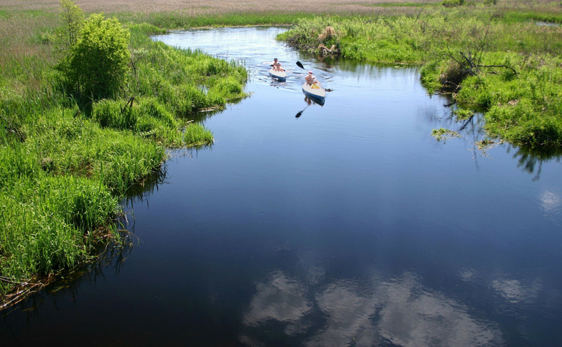 Narew - "polska Amazonka"