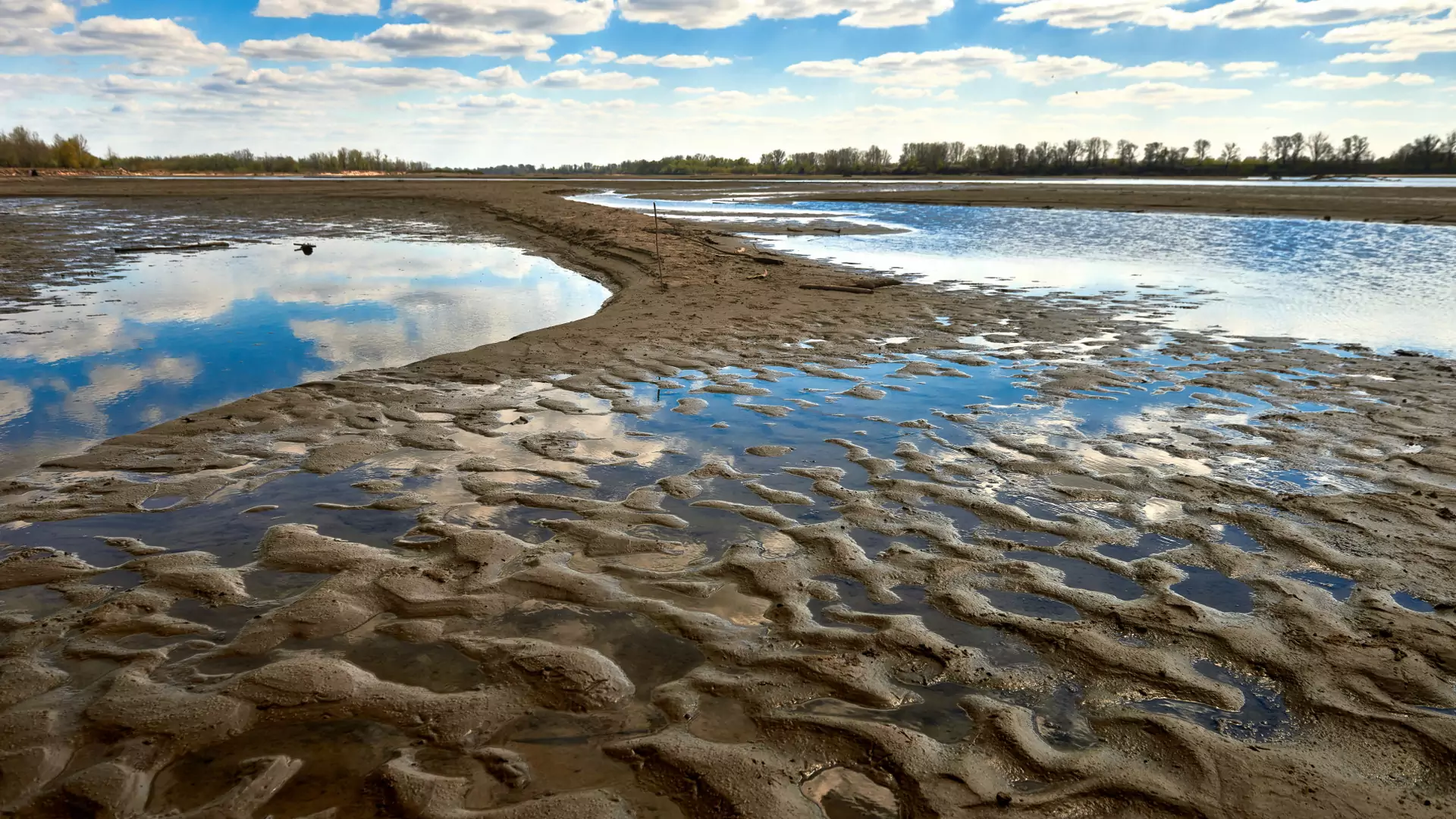 Ekstremalnie niski stan polskich rzek. "Padło pięć rekordów najniższej wody" [zobacz mapę]