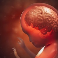 Egy fiatal nő, akinek születésekor az agya nagy része hiányzott, most töltötte be a 20-at