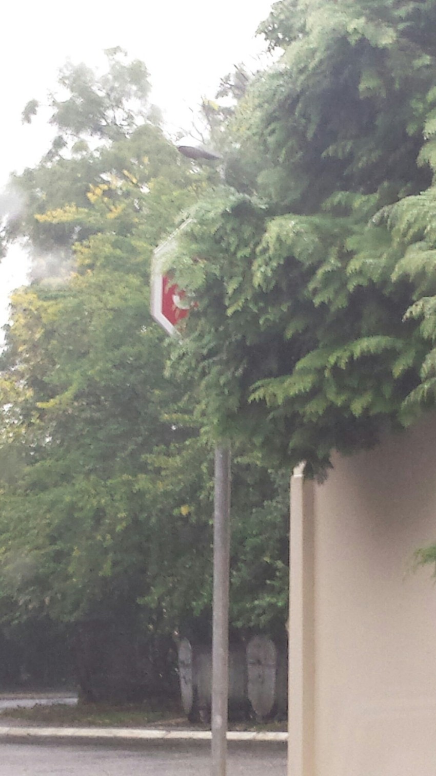 Ugao Omladinske ulice kod broja 21