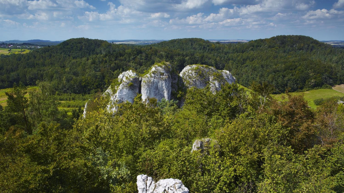 <strong>Parki krajobrazowe w Polsce są jedną z form ochrony przyrody. W całym kraju jest ich 123. Łącznie stanowią niecałe 9 procent powierzchni Polski. Najwięcej parków krajobrazowych w Polsce jest w województwie lubelskim, a najmniej w podlaskim.</strong>