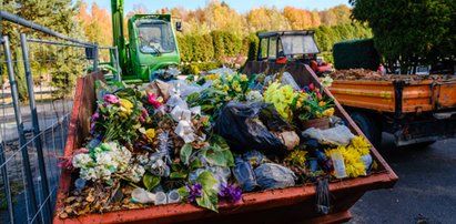 Kiedy wracała z cmentarza, usłyszała niepokojący dźwięk. Makabryczne odkrycie w kontenerze na śmieci [NOWE FAKTY]