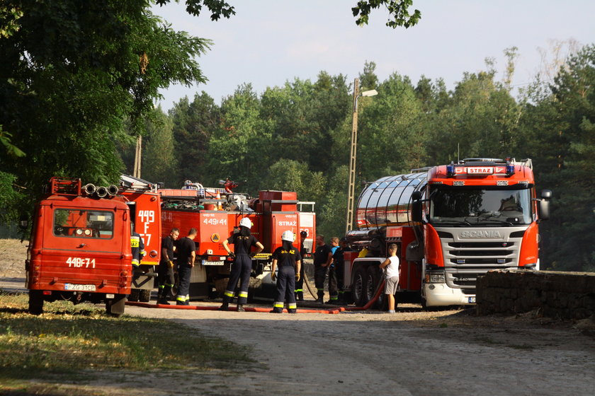 Podpalił las