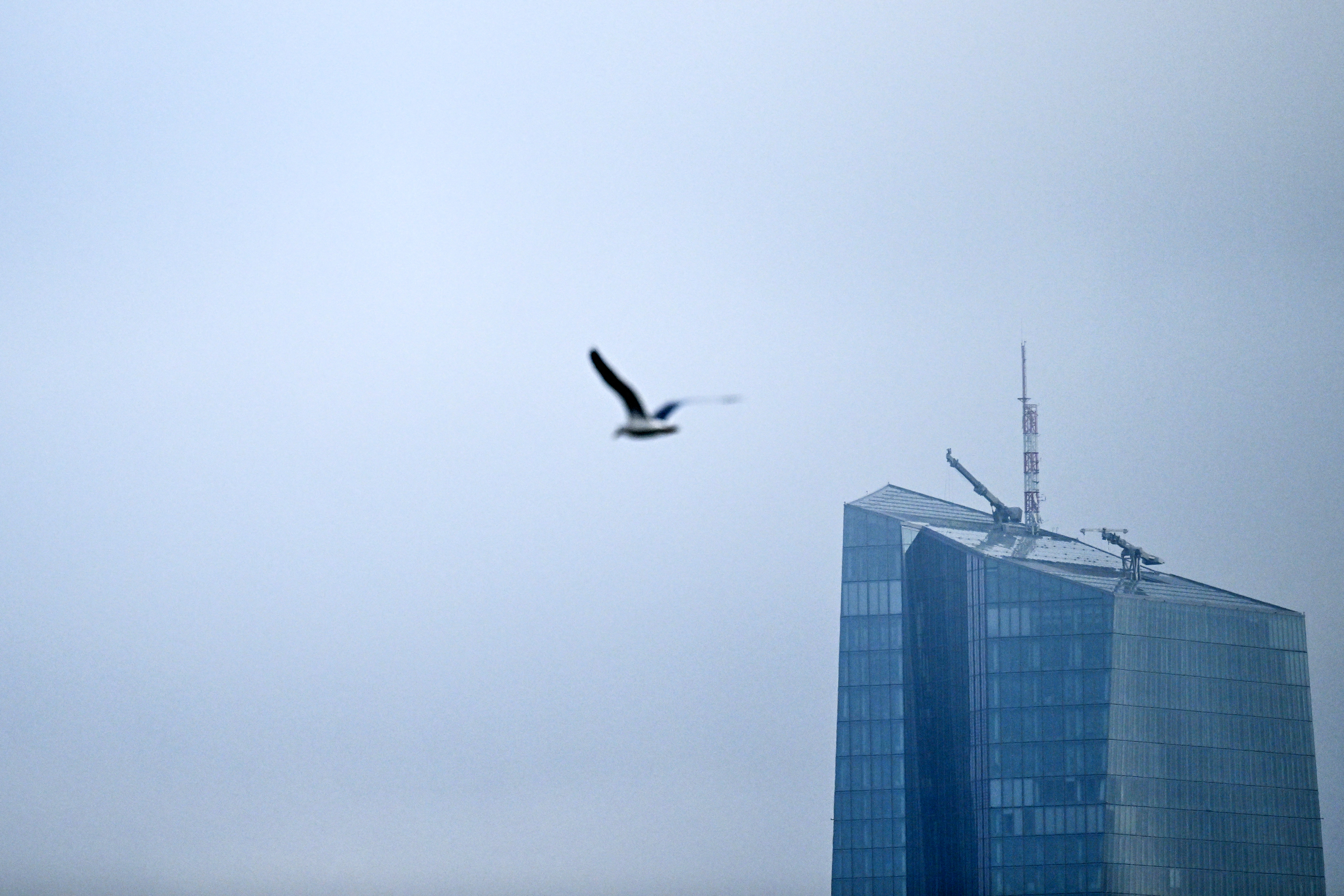 Erstmals deutsche EZB-Chefs? Nagel und Schnabel im Nachfolge-Rennen