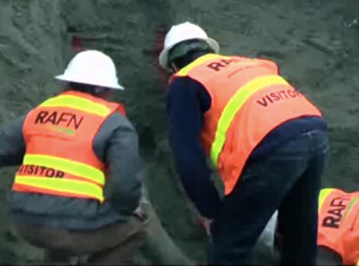 Szczątki mamuta odkryto na placu budowy w Seattle