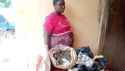 NDLEA arrests pregnant woman, cripple, female undergraduate with drugs