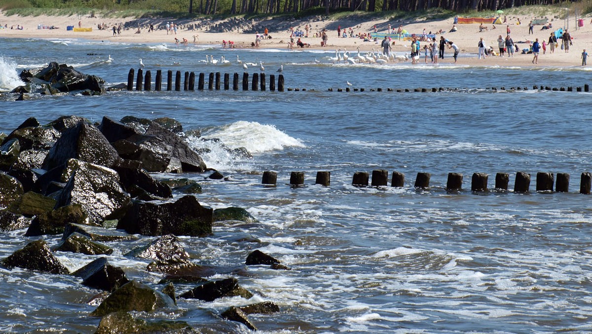 Środek lata, na plaży tłum. Przerażeni rodzice na kąpielisku w Gdańsku Brzeźnie szukają dziecka. Nie ma go już jakiś czas. W akcję zaangażowani są ratownicy, policja i zwykli plażowicze. Nagle wiadomość: dziecko znalazło się na plaży na… Stogach! Wsiadło w tramwaj w Brzeźnie i po około godzinie wysiadło na drugim końcu miasta. Niedowierzanie i jednocześnie szczęście rodziców, że akcja zakończyła się sukcesem. Uważaj, bo podczas plażowania i twoje dziecko może się zagubić!